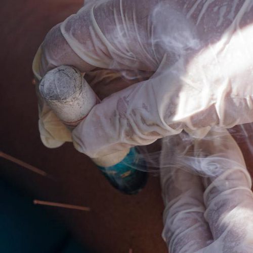 239519516_1688363121361799_7672344629801599945_n