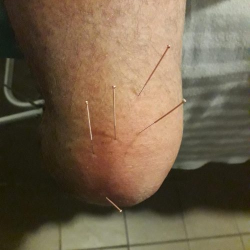 263472358_1766632966868147_3635986160843366406_n